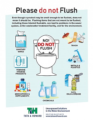 Infographic on items not to flush for sewer protection.