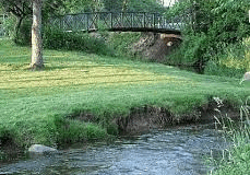 Small bridge over serene stream in lush green park